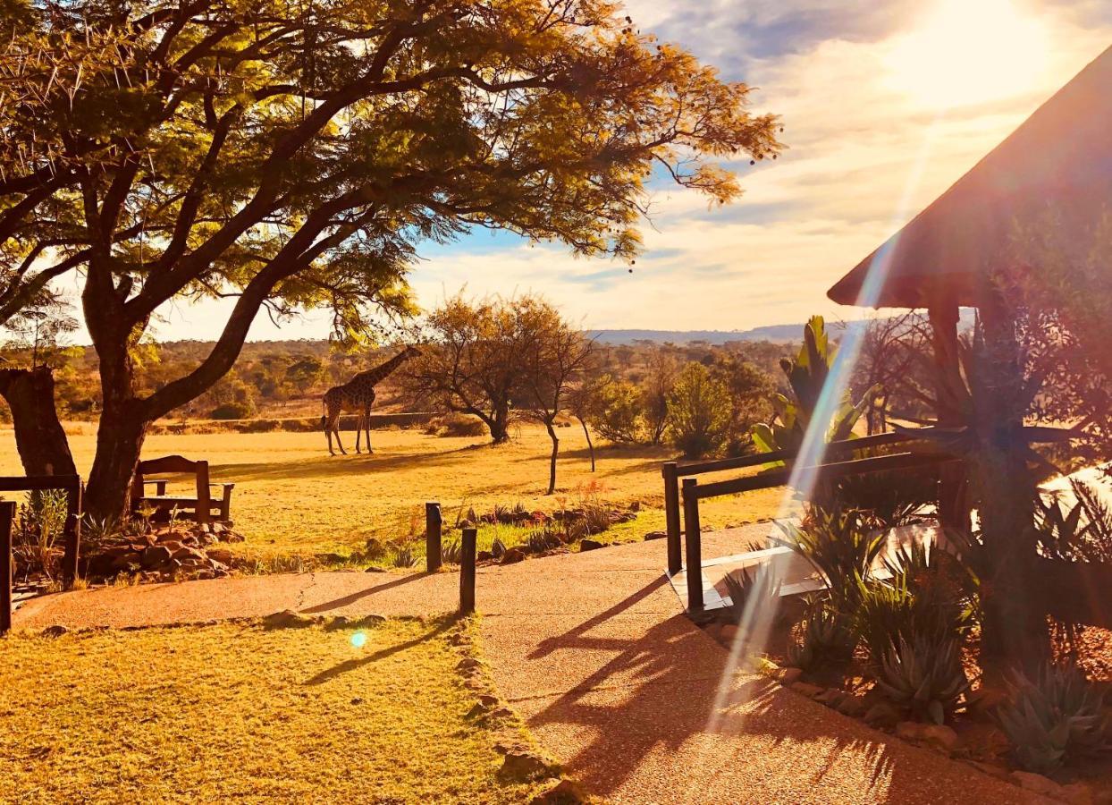 Kololo Game Reserve Vaalwater Luaran gambar