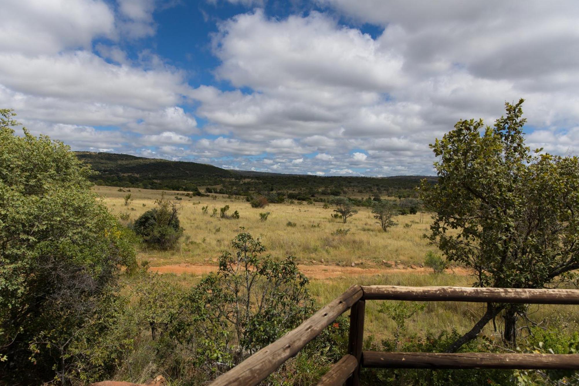 Kololo Game Reserve Vaalwater Luaran gambar
