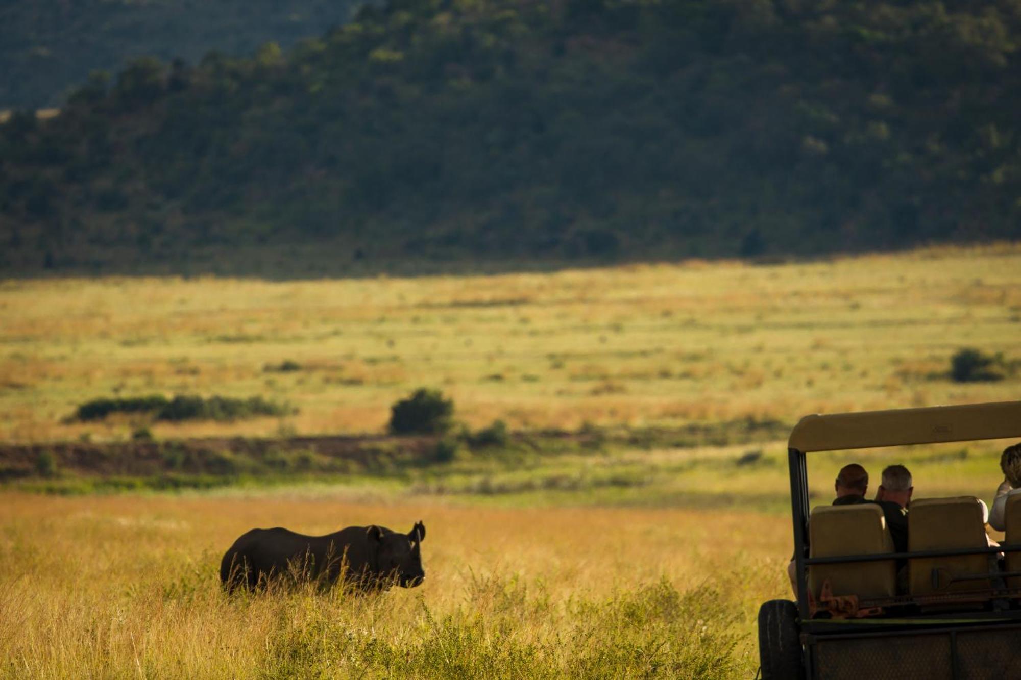 Kololo Game Reserve Vaalwater Luaran gambar