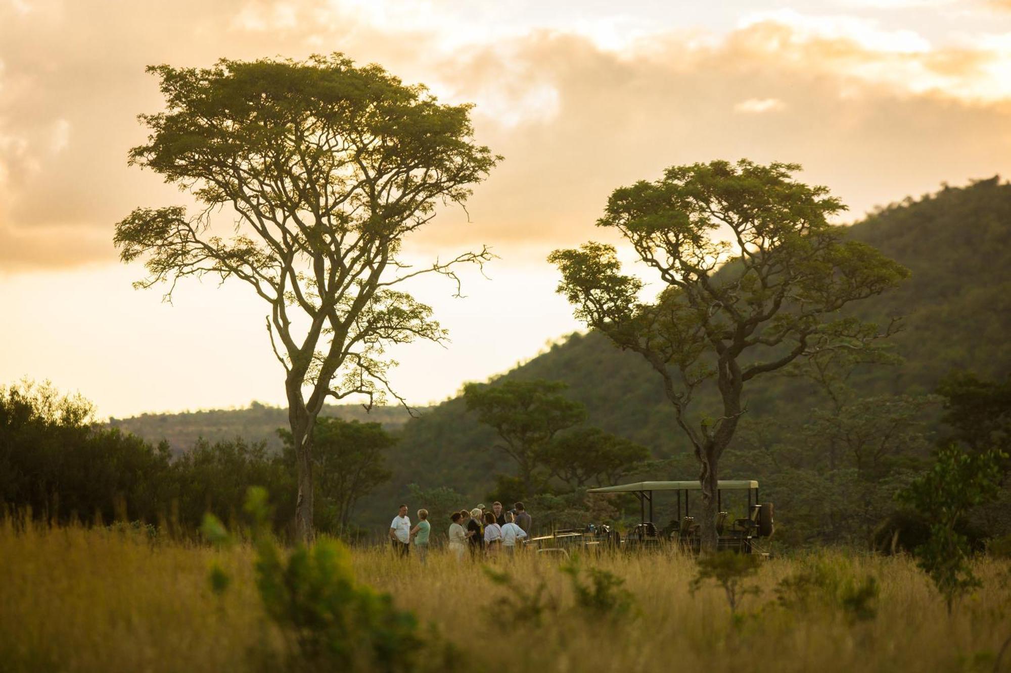 Kololo Game Reserve Vaalwater Luaran gambar